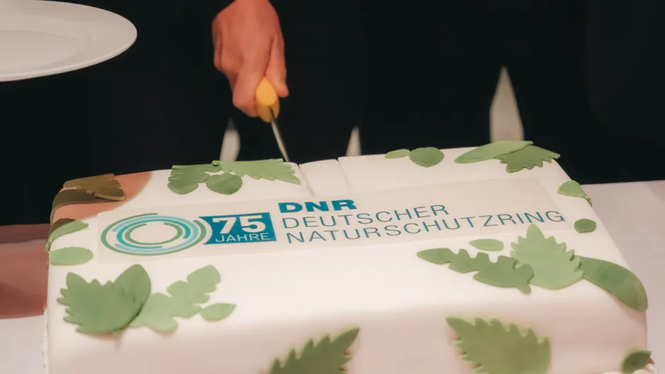 Die "Jubiläumstorte" des DNR zum 75. Geburtstag mit Logo, Aufschrift 75 Jahre Deutscher Naturschutzring und grünen Blättern auf weißem Grund